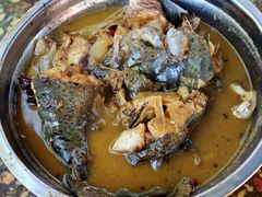 炖鱼-可心烤鱼
