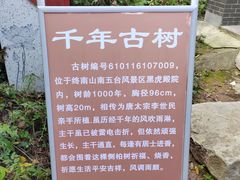 -终南山南五台景区