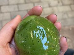 -沈大成(城隍庙店)