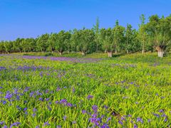 -汉长安城未央宫国家考古遗址公园
