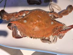 -大城·烧烤海鲜大排档(台东店)