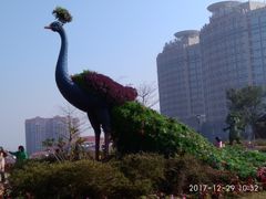 -河源客天下-温泉小镇