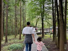 -溱湖国家湿地公园