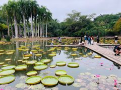 -中国科学院西双版纳热带植物园