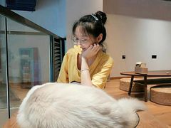 -瞄一喵猫咖(格力海岸店)