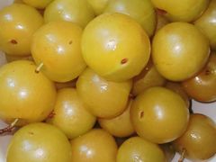 -呼吸森林·生态农庄农家乐私房菜