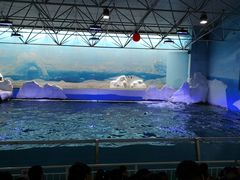 -秦皇岛乐岛海洋王国