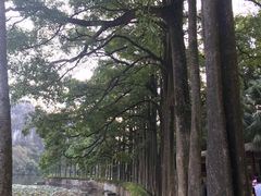 -星湖旅游景区七星岩