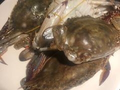 梭子蟹-欢乐牧场海鲜烤肉自助(牡丹园店)