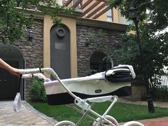 -天鹅湖生态旅游风景区