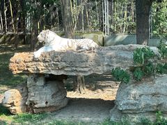 -上海野生动物园