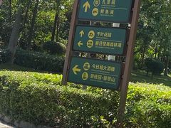 -三水森林公园
