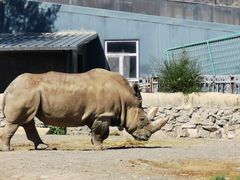 -新疆天山野生动物园