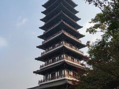 -宜兴龙背山森林公园