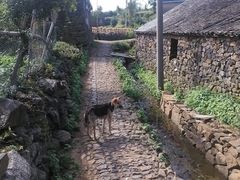 -许家山