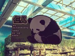 -大青山野生动物园