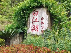 -广州白江湖森林公园