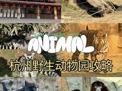 -杭州野生动物世界