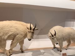 -陕西自然博物馆