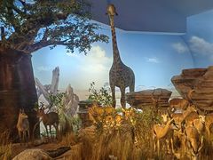 -天津自然博物馆