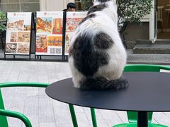 -Wagas沃歌斯(尚街店)