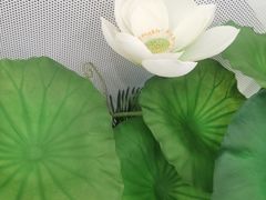 -新辣道鱼火锅(上地华联店)