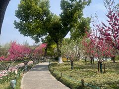 -圩墩遗址公园