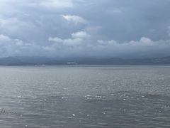 -洱海月湿地公园