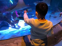 -沈阳海洋探索中心