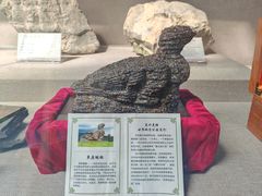 -延庆地质公园博物馆