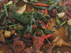 -食鸡公社辣子鸡·潍坊菜·烧烤