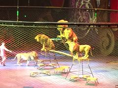 -珠海横琴长隆《卡卡虎奇遇记》