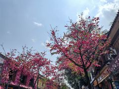-大理文庙(大理古城)
