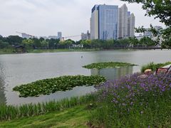 -后襄河公园