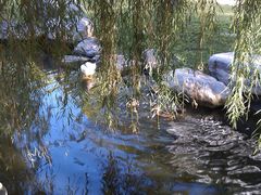 IMAG0444-北京市海淀外国语实验学校