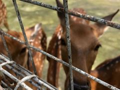 -祥源·阜阳生态乐园