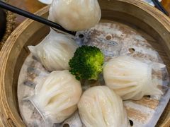 -潍城老菜馆·地标美食