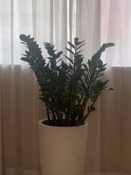 -广东韩妃整形外科医院
