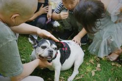 -圣露庄园·草坪婚礼·宴会厅·会议