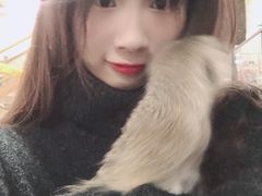 -藦茜花园宠物主题亲子互动体验馆(国顺东路店)