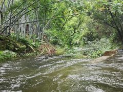 -大观园昆山峡漂流