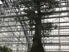 -南山植物园