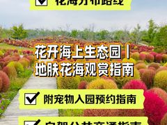 -花开海上生态园
