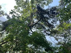 -终南山南五台景区