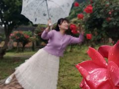 -龙寺生态园