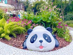 -成都大熊猫繁育研究基地