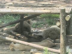 -泉州海丝野生动物世界