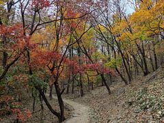 -北京鹫峰国家森林公园