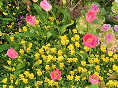 -浙江西子宾馆·瑶园咖啡厅