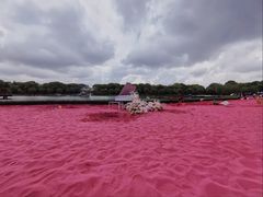 -上海鲜花港